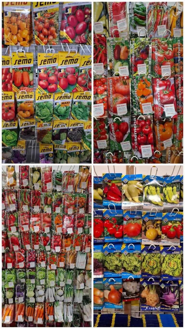 Rôzne obaly semien s rôznymi druhmi zeleniny, ako sú paradajky, papriky, šalát a iné, usporiadané na policiach v obchode so záhradníckymi potrebami.