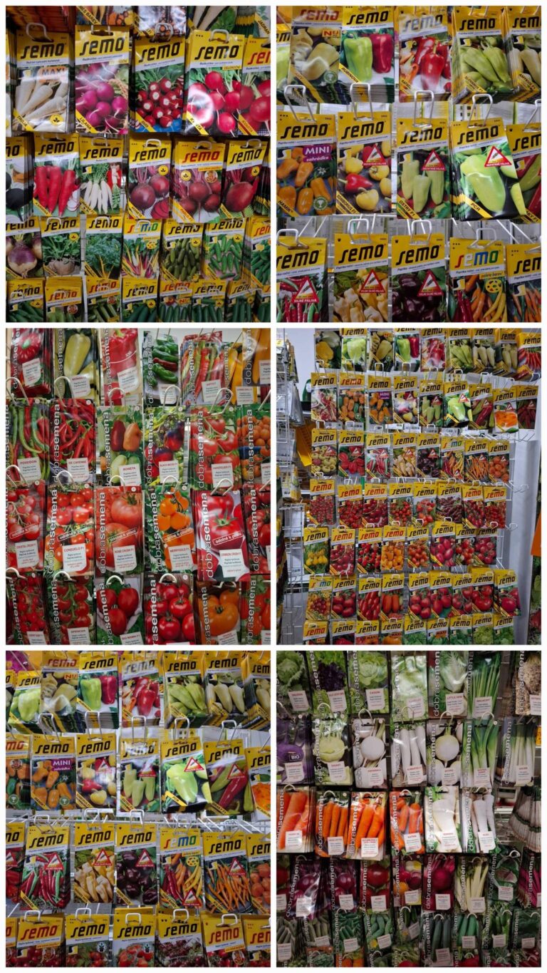 Rôzne obaly semien zeleniny a byliniek s označením "semo" vystavené na regáli, vrátane papriky, paradajok, mrkvy a ďalších druhov rastlín.